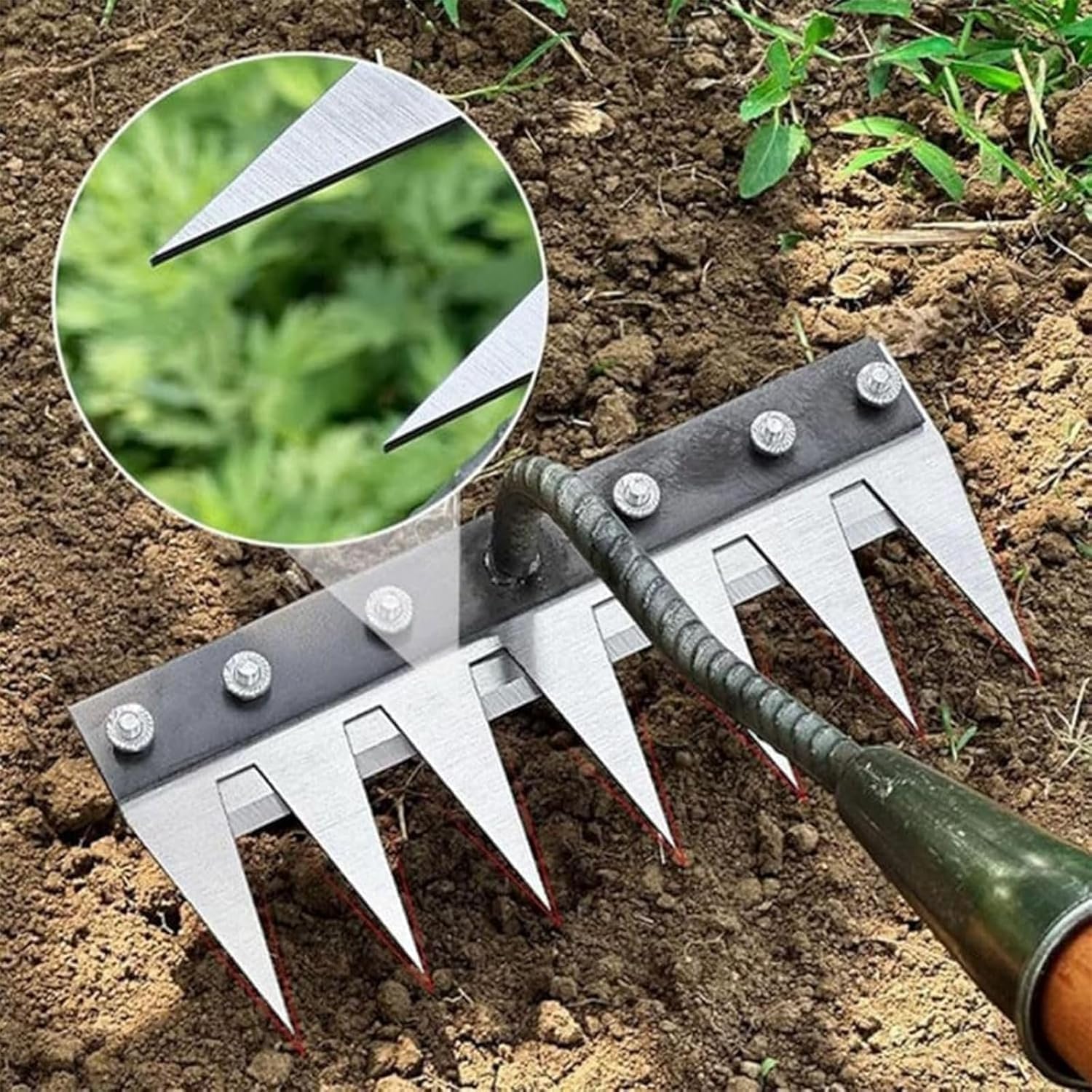 5/6/7/8 Teeth Metal Rake Garde - Agriculture Farming Hand Tools ulasan dan harga