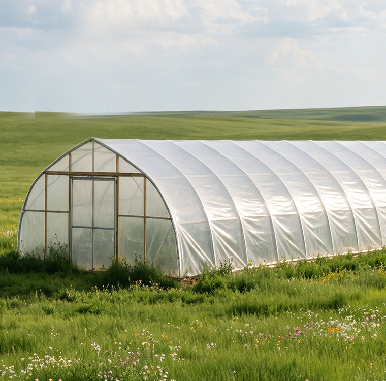 Large Size Agricultural Greenh - Agriculture Farm House ulasan dan harga
