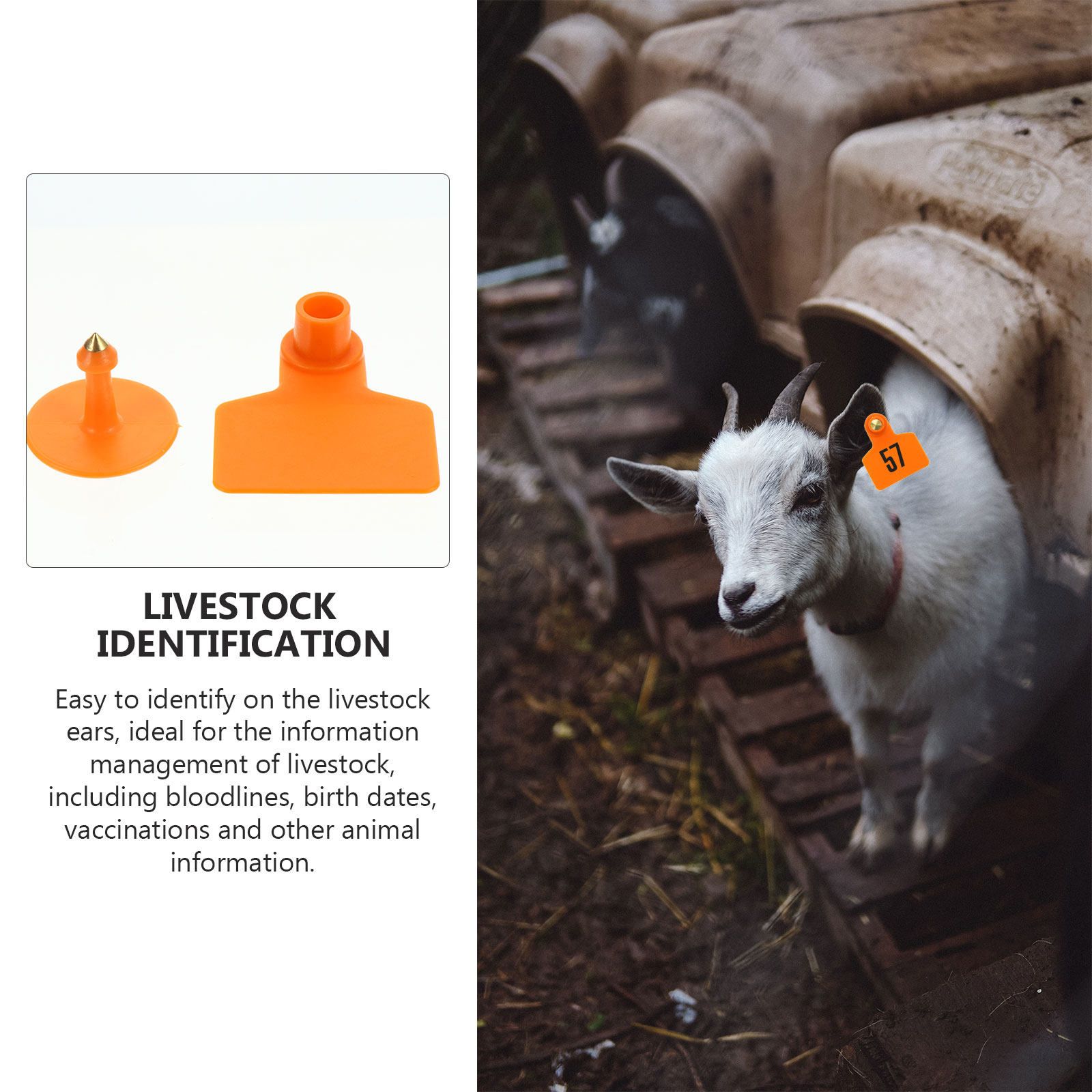 100Pcs Animal Ear Tags Plastic - Livestock Ear Tag ulasan dan harga