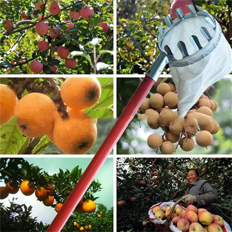 Farm Fruit Picker Garden Orcha - Agriculture Farming Tool ulasan dan harga