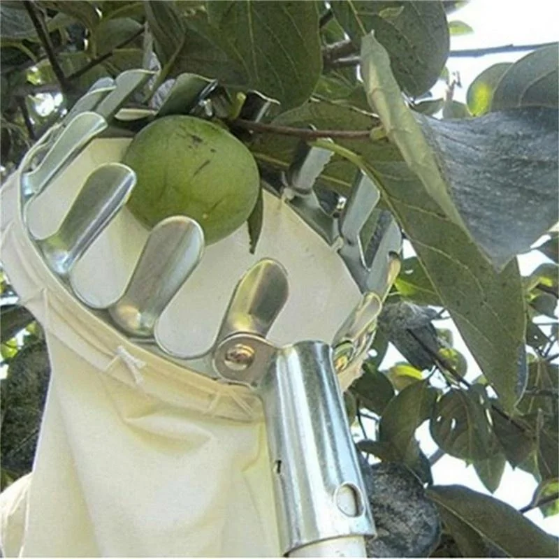 Farm Fruit Picker Garden Orcha - Agriculture Farming Tool ulasan dan harga