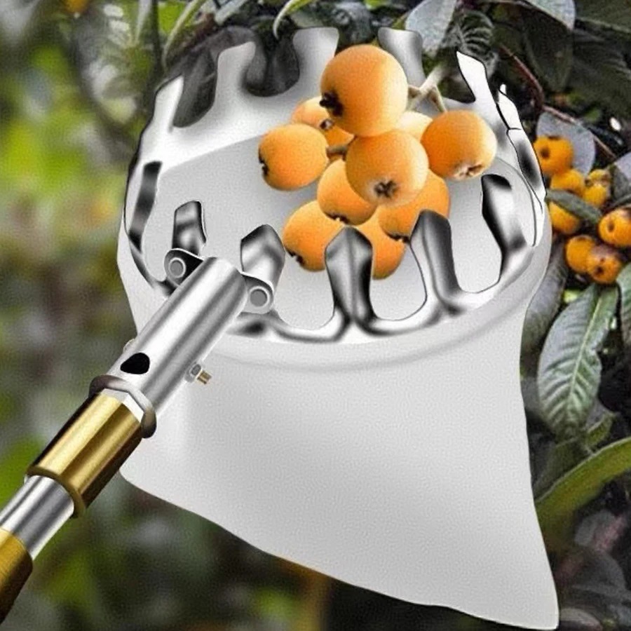 Professional Berry Picker Tool - Agriculture Farming Tool ulasan dan harga