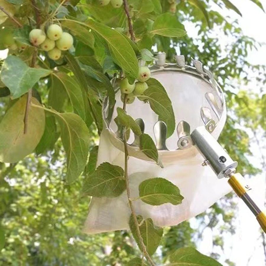 Professional Berry Picker Tool - Agriculture Farming Tool ulasan dan harga