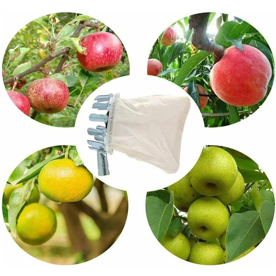 Professional Berry Picker Tool - Agriculture Farming Tool ulasan dan harga
