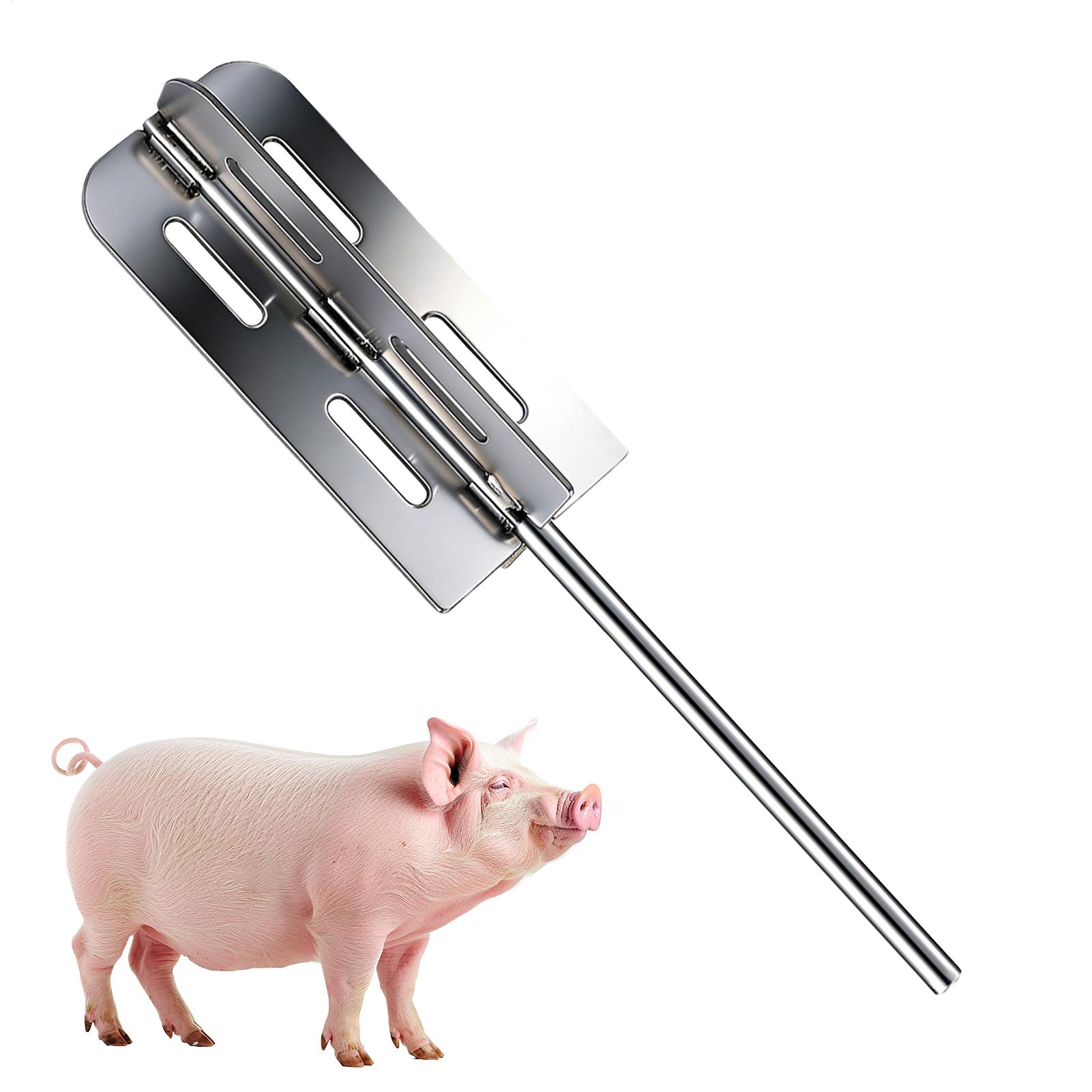 Hog Hair Removal Tool Stainles - Agriculture Farming Tool ulasan dan harga