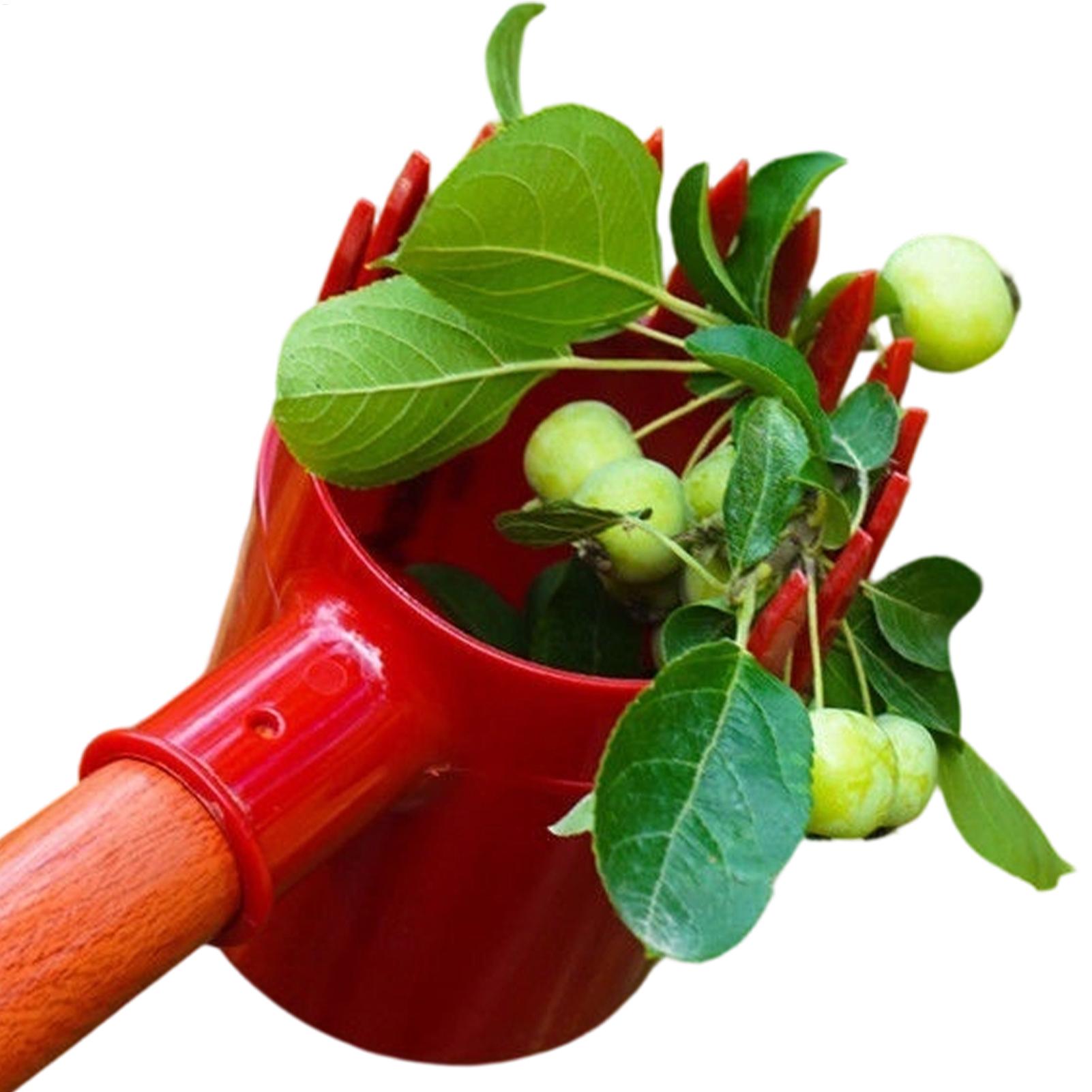 Berry Picker Scoop Portable Fr - Agriculture Farming Tool ulasan dan harga