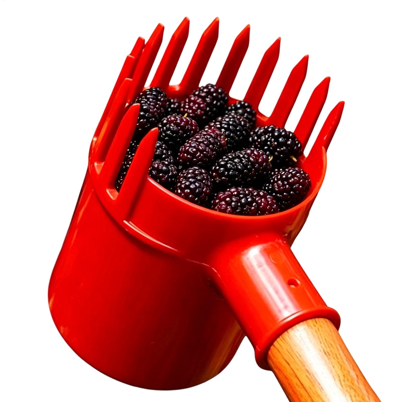 Berry Picker Scoop Portable Fr - Agriculture Farming Tool ulasan dan harga